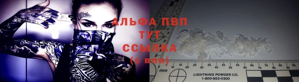 молекула духа Заводоуковск