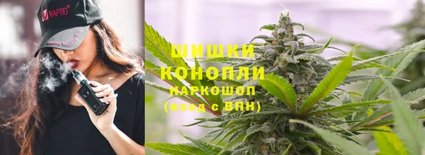 молекула духа Заводоуковск